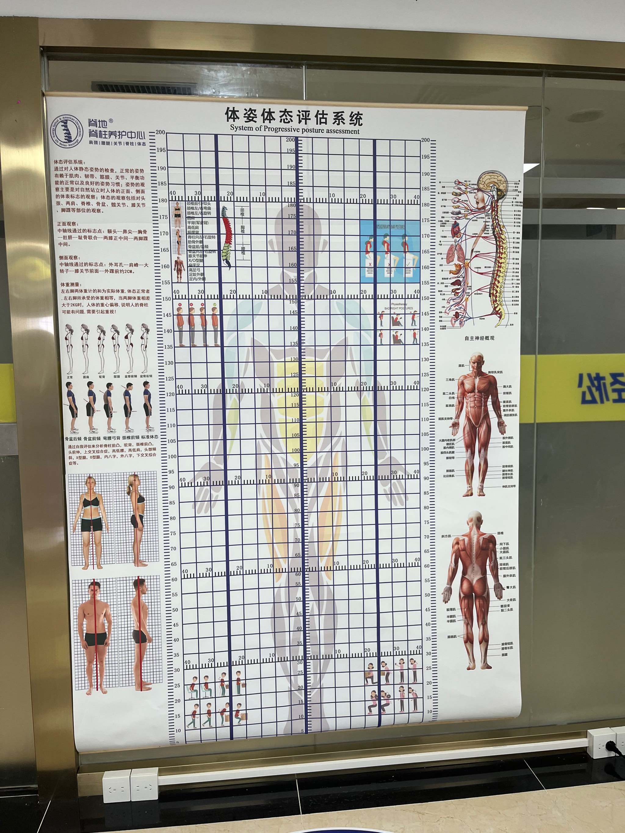 开云网页版-运动员心态训练：从心理学角度解析