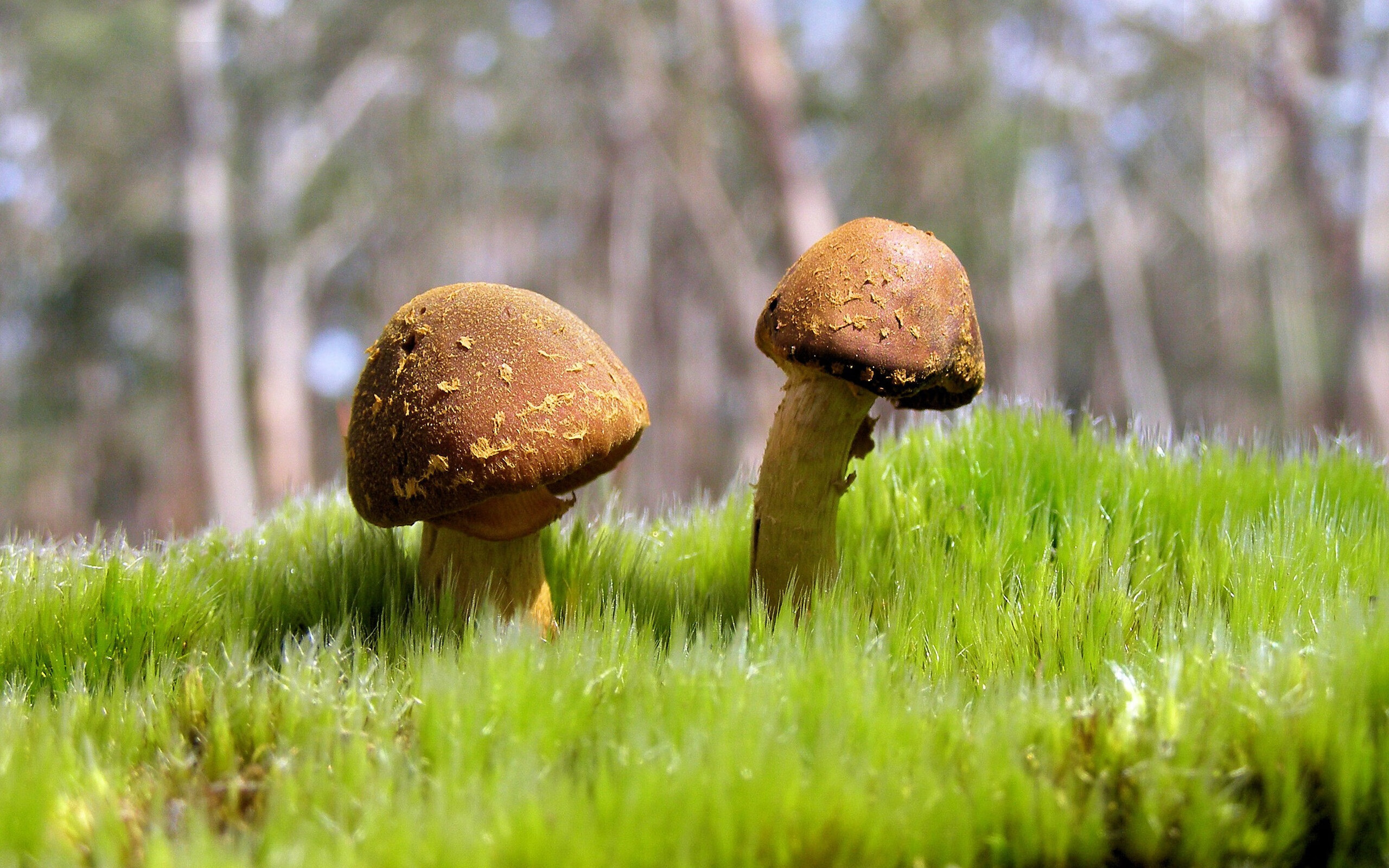 足球战术培训课程纳入体育院校教学体系，足球战术教学与训练因素