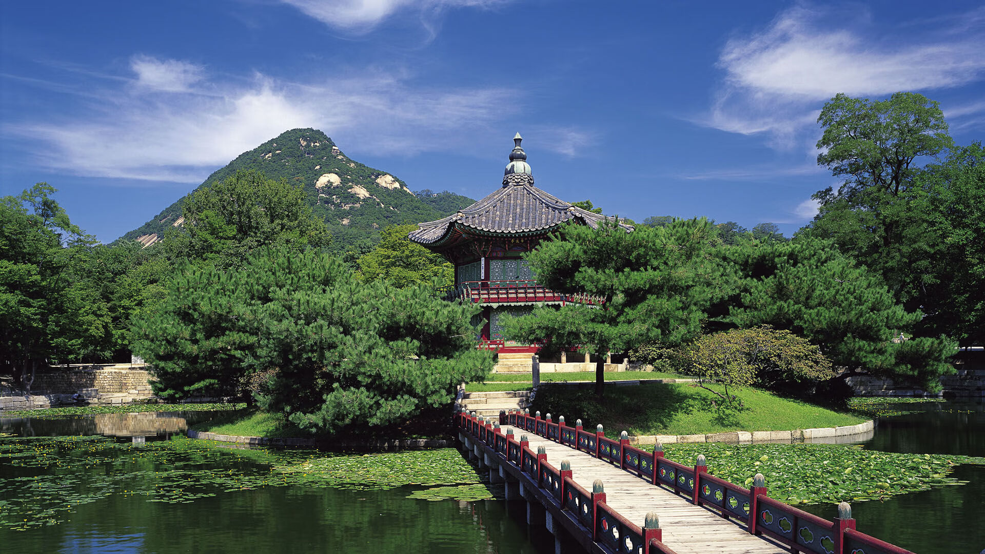 魔术队榜眼秀入选全明星,刷新队史最快纪录,魔术队全名