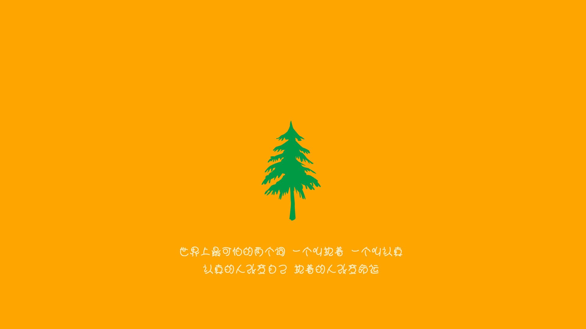 WNBA观众人数创新高,nba观众数量