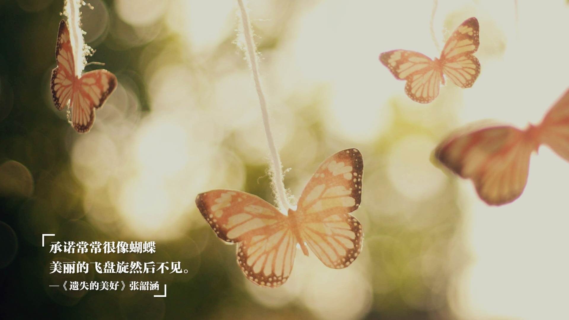 墨西哥队加强青训，培养未来之星，墨西哥队强不强