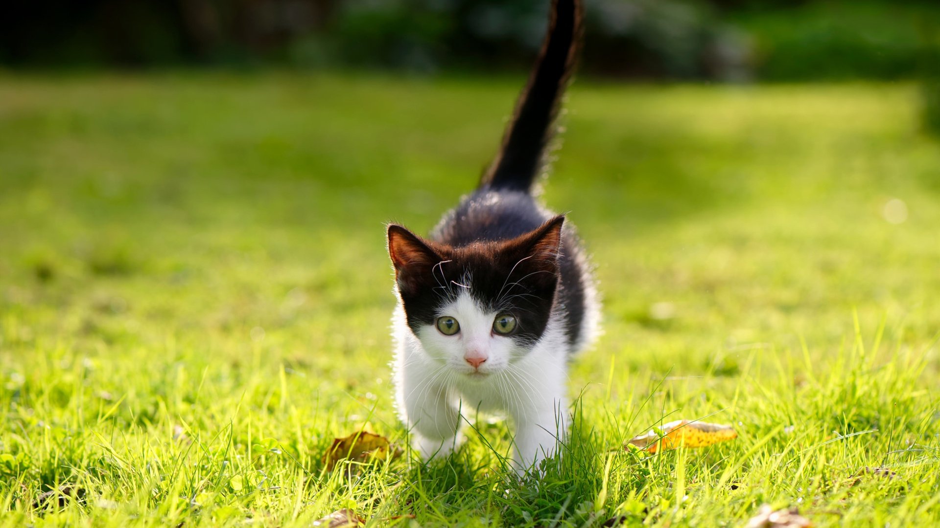 射手掉入得分荒，球队连胜被终结，射手球员