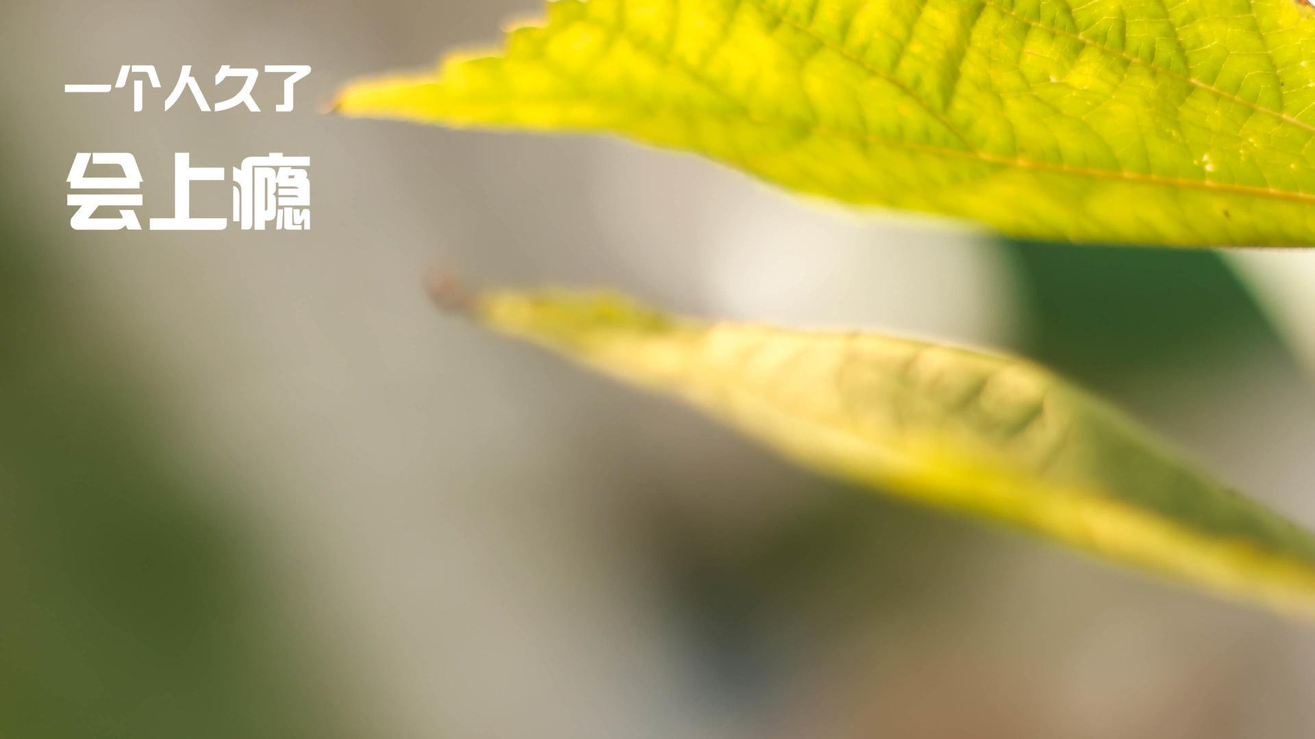 布里斯托城战术成熟,海港之队全力拼抢,港城和布里斯托