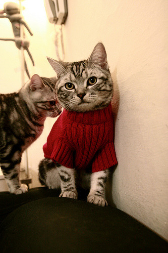 意甲劲旅开启国家德比赛事，紧张氛围升温，意甲联赛中的国家德比指的是