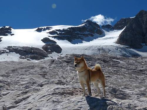辽宁宏运不敌劲旅,遭遇输球困境,辽宁宏运足球队最新消息