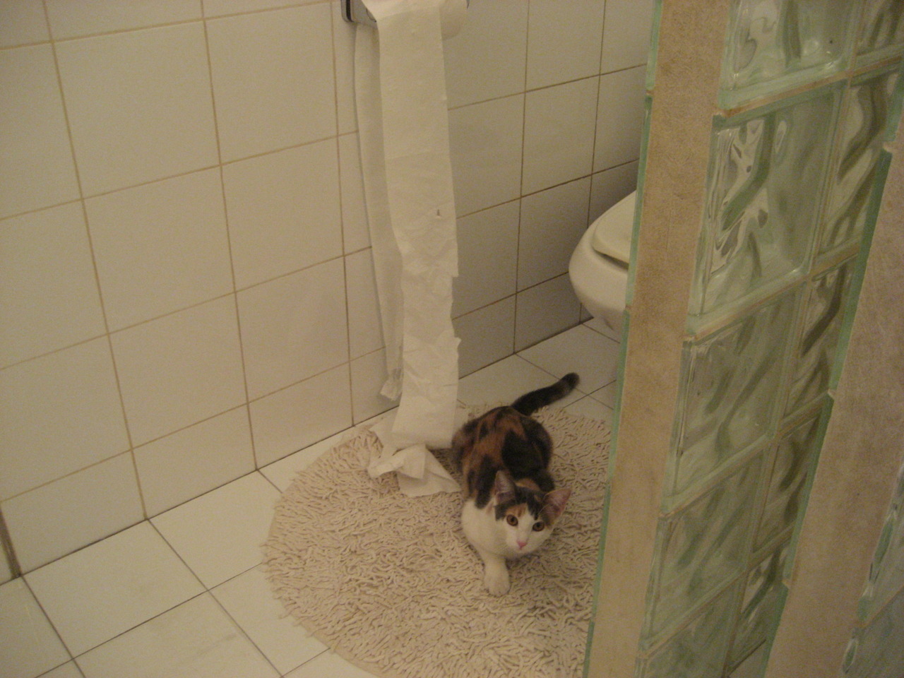 开云官方-雄鹰主教练突然离职，球队动荡不安，雄鹰教主表情包