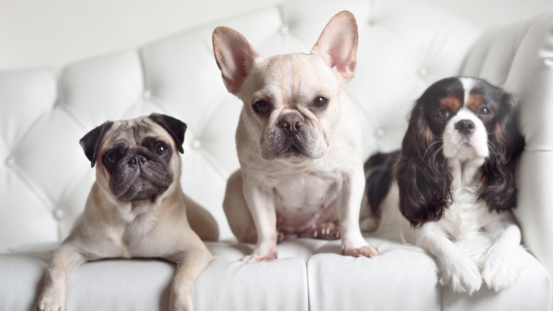 体育场馆安全标准完善,体育场馆规范