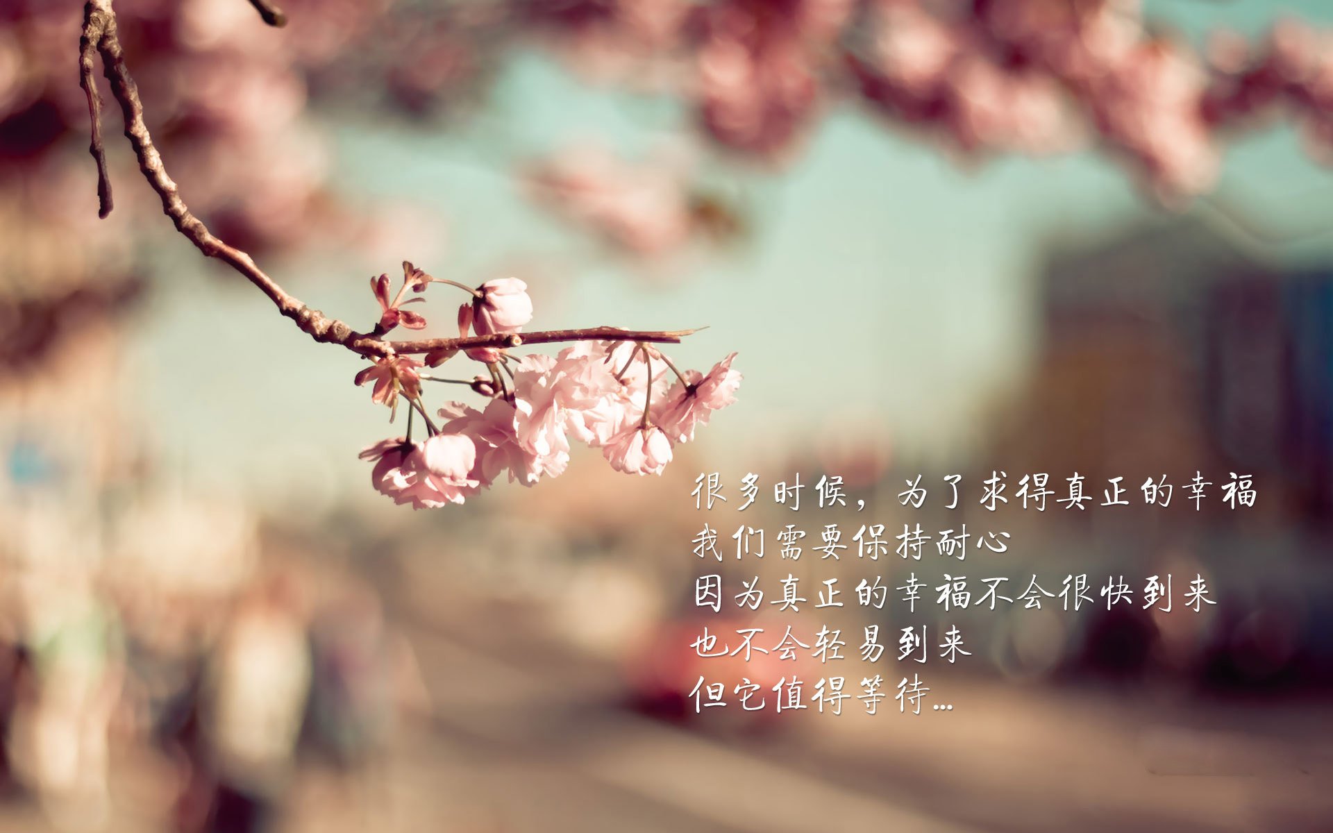 法甲球队融合心理调节技术促进比赛稳定性