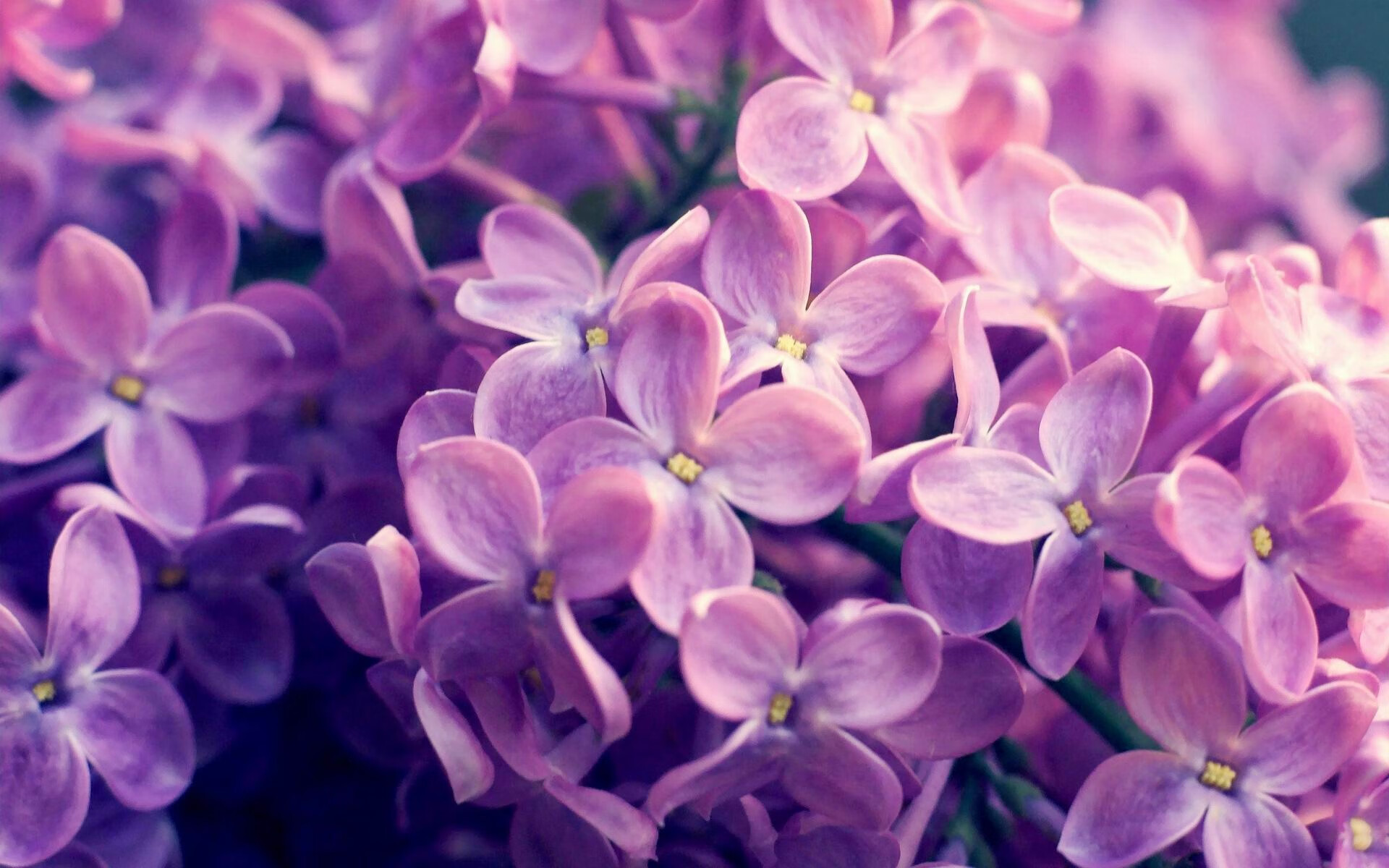 体育新闻中心支持地方特色体育文化内容创作，体育新闻报道策划案