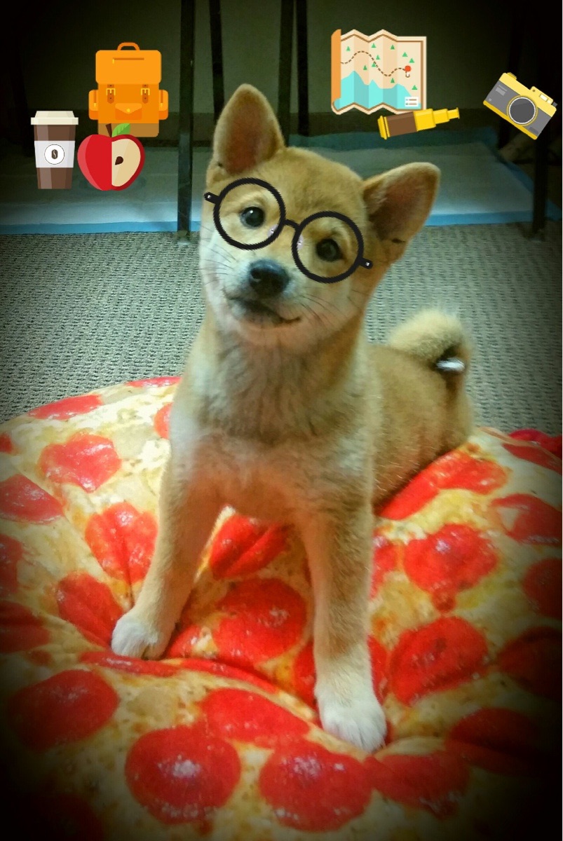 kaiyun开云·官方网站-英雄联盟新赛季开启战队阵容全面更新，英雄联盟lpl新战队