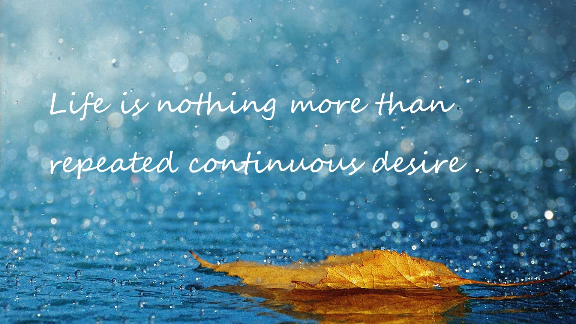 巴特尔的强力拦截为袋鼠队赢得关键比赛中的优势，巴特尔的替补