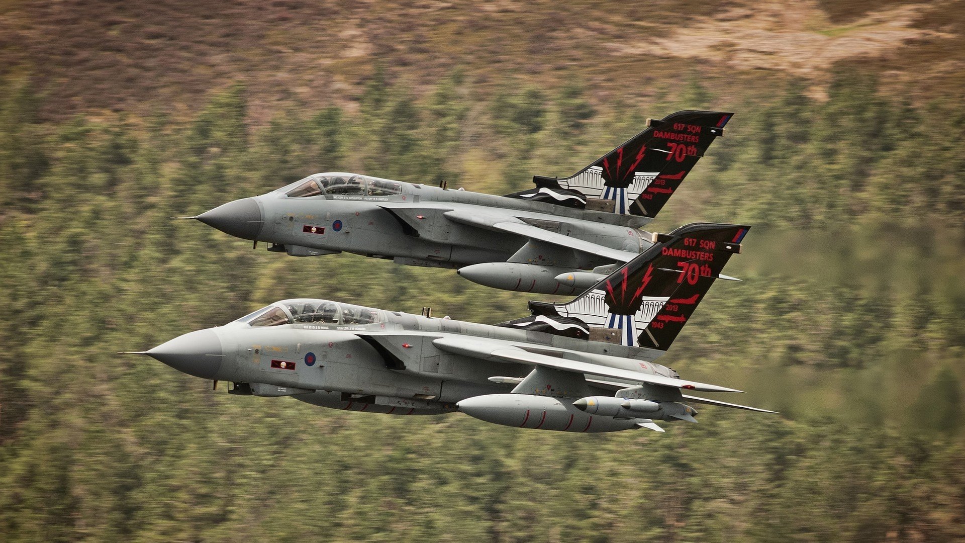 开云体育中国官网-跳水初赛吉尔吉斯斯坦年轻选手崭露头角，吉尔吉斯斯坦运动员